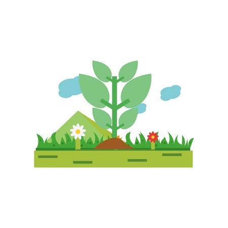 Designing a Native Plant Landscape