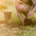 Using Outdoor Lighting to Highlight Seasonal Landscaping