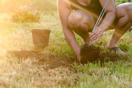 Using Outdoor Lighting to Highlight Seasonal Landscaping