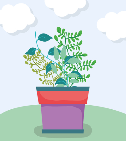 Light, Oxygen, and Environment Control