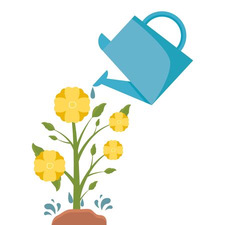 Testing Your Soil