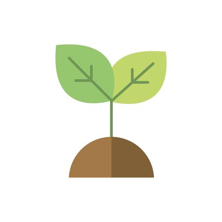 Benefits of Incorporating Pollinator Plants in Edible Gardens