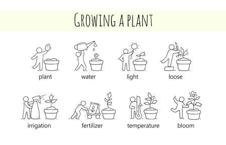 Potting, Soil, and Drainage Essentials
