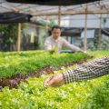 The Science Behind Hydroponics: How Plants Thrive Without Soil