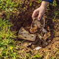 How to Recognize and Fix Common Soil Problems in Your Garden