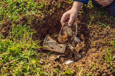 How to Recognize and Fix Common Soil Problems in Your Garden