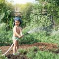 Troubleshooting Common Problems in Backyard Vegetable Gardens