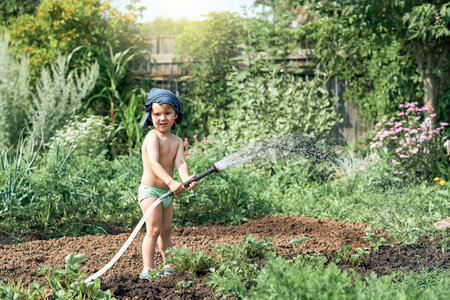Troubleshooting Common Problems in Backyard Vegetable Gardens