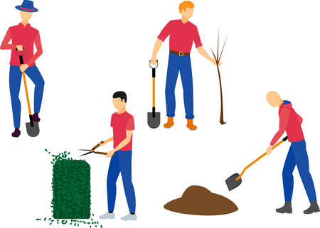 How Compost Improves Backyard Soil Structure and Fertility