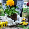 Seasonal Indoor Plant Care Tips: From Winter to Summer