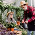 Zero-Waste Pest Control: Natural & Effective Solutions for a Chemical-Free Garden