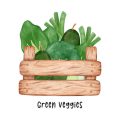 How to Grow Organic Vegetables in Raised Beds