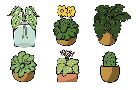 Best Houseplants for Beginners to Propagate