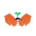 The Role of Pollinator-Friendly Plants in Edible Landscapes