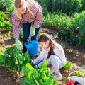 Integrating Edible Landscapes into Your Permaculture Design