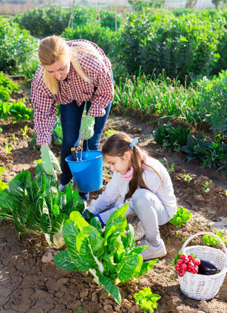 Integrating Edible Landscapes into Your Permaculture Design