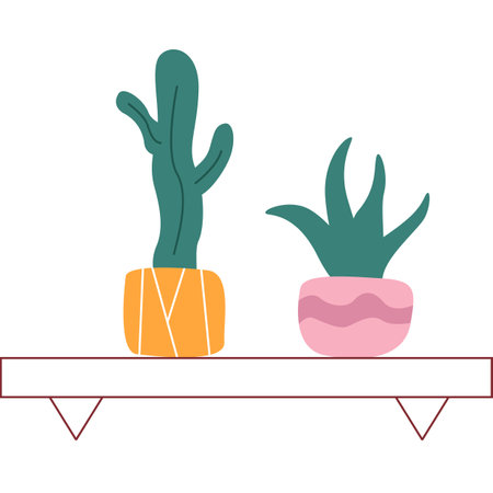 Designing for Aesthetics and Functionality