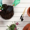 Low-Maintenance Landscaping That Works With Smart Home Technology