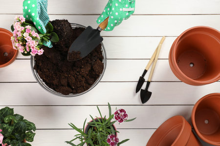 Low-Maintenance Landscaping That Works With Smart Home Technology