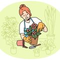 Propagation for Beginners: How to Multiply Your Houseplants at Home