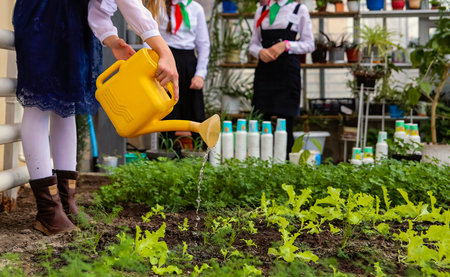 Best Practices for Irrigating Raised Garden Beds in the U.S.