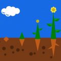 Soil Drainage Solutions for Wet or Compacted Backyard Soil