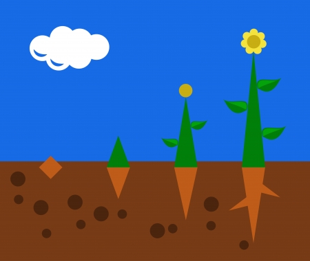 Soil Drainage Solutions for Wet or Compacted Backyard Soil