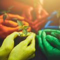 Zero-Waste Garden Planning: How to Design with Sustainability in Mind