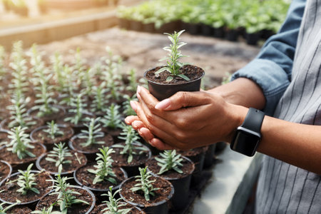 How to Build a Zero-Waste Greenhouse: Materials, Methods, and Maintenance