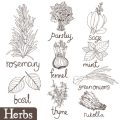 How to Harvest and Store Homegrown Herbs from Your Indoor Garden