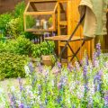 Designing a Native Plant Border Garden: Ideas and Samples
