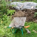Worm Composting 101: How to Use Vermiculture in Your Zero-Waste Garden