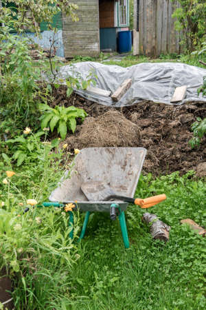 Worm Composting 101: How to Use Vermiculture in Your Zero-Waste Garden