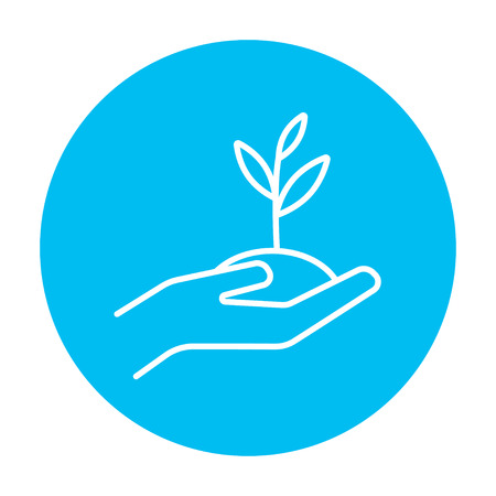 How Organic Mulch Works: The Science Explained