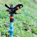 Using Tech in the Garden: Smart Controllers and Timers for Efficient Backyard Irrigation
