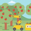 How to Create a Certified Organic Garden in the U.S.