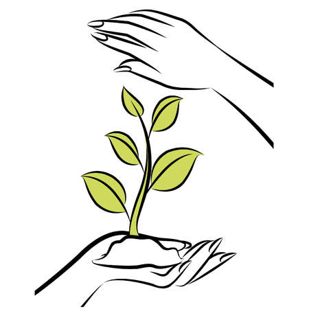 State and Local IPM Policies