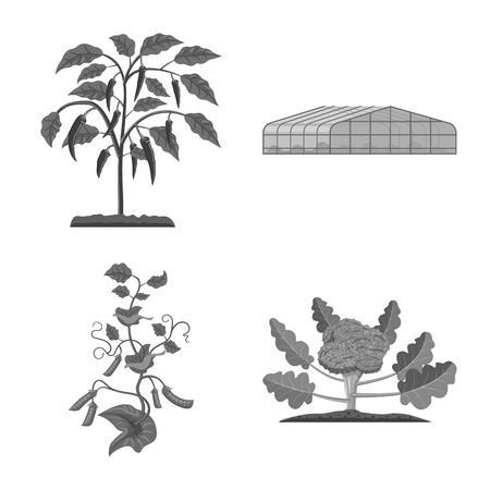Sourcing Seeds and Starts