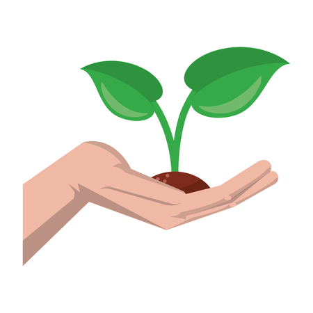 Soil Health and Natural Fertilization