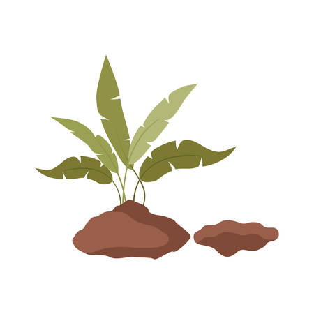 Influence of Mulching on Fungal Growth