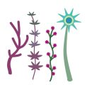 Combining Bulbs with Perennials and Annuals for Year-Round Color