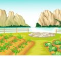 Companion Planting Strategies That Work Best in Summer