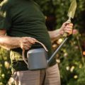 Creating a Fall Garden Journal: What to Record and Why It Matters