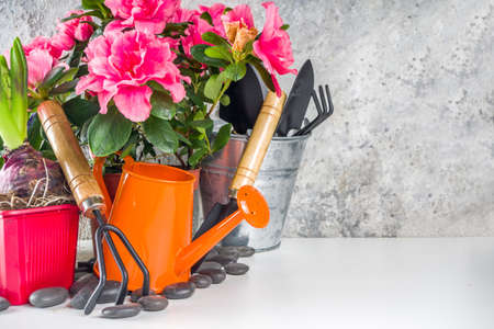 Snow Removal Tools for the Winter Gardener: Shovels, Blowers, and More