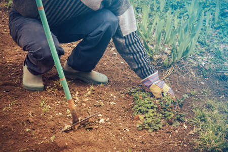 Using Native Plants for All-Season Landscaping in Different U.S. Regions