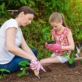 The Best Summer Garden Projects for Kids and Families in the U.S.
