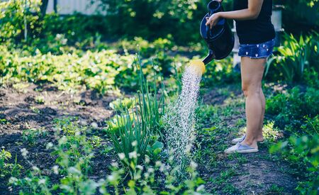 Understanding Plant Hardiness Zones and Climate-Related Garden Terms