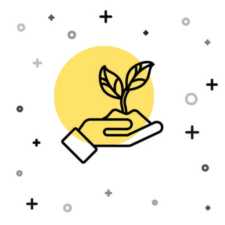 Planting Tips and Timing