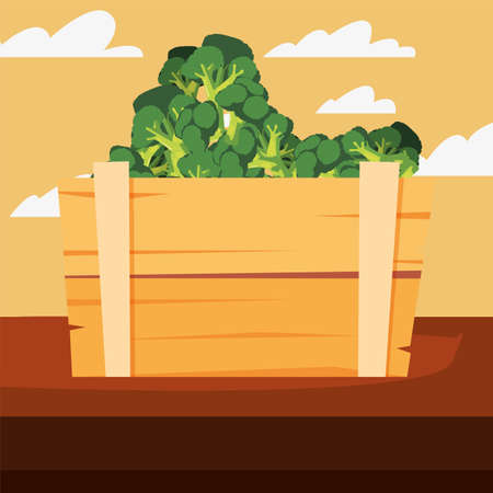 Summer: Maintaining Heat and Managing Pests