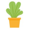 Container Gardening for Beginners: Grow Your Own Food in Small Spaces